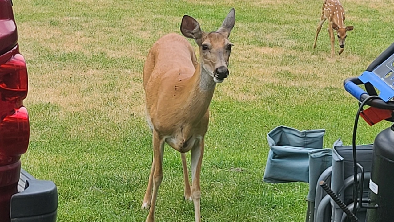 Photo of Outdoor in Kalispell