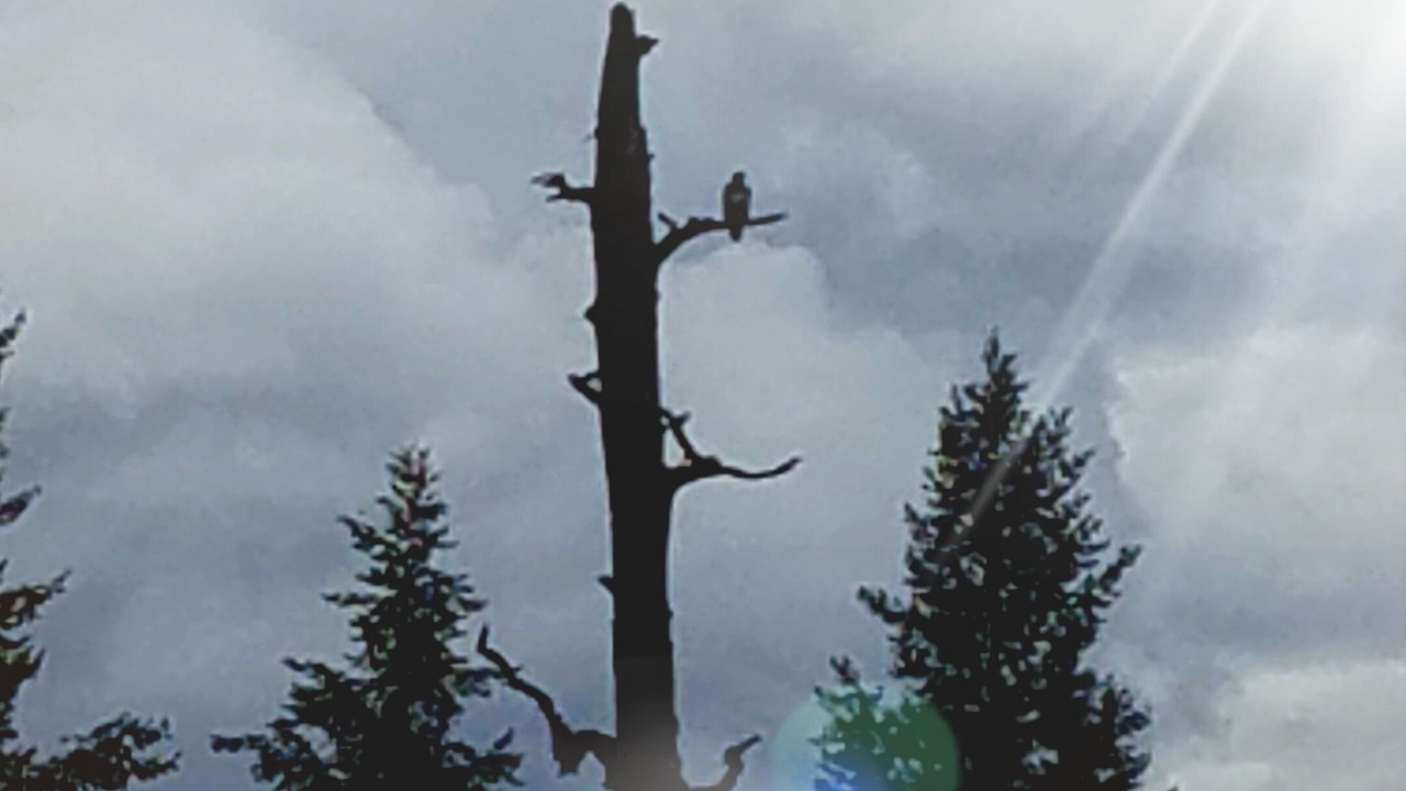 Photo of Others in Marion