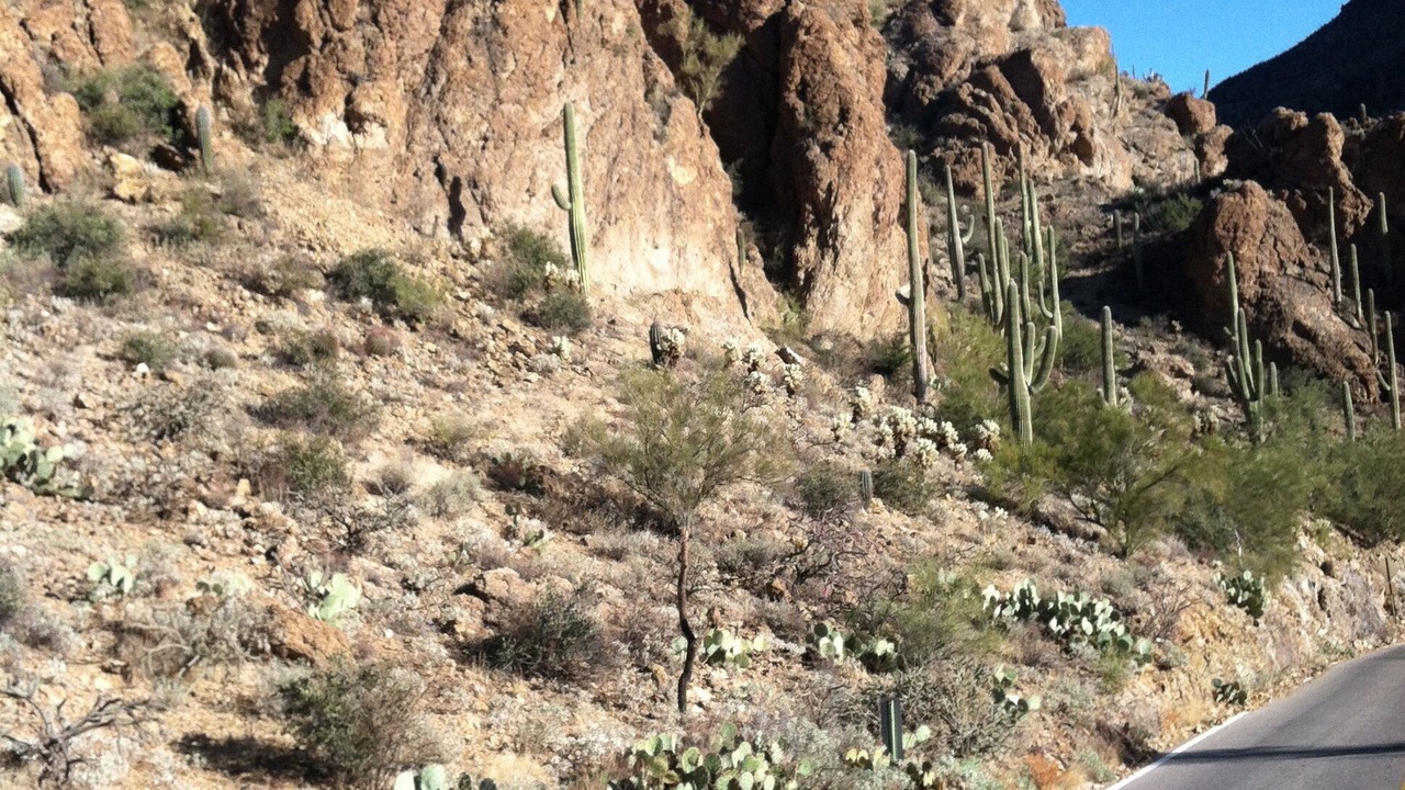 Photo of Others in Starr Pass