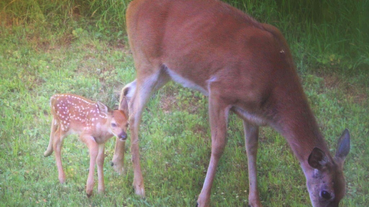 Photo of Outdoor in Clark Fork