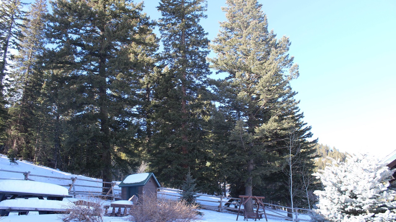 Photo of Others in Bozeman