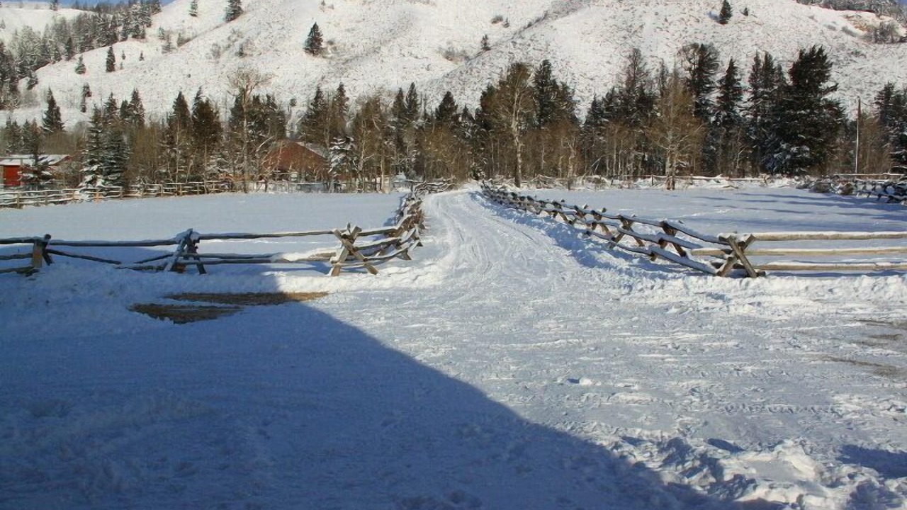 Photo of Others in Moran