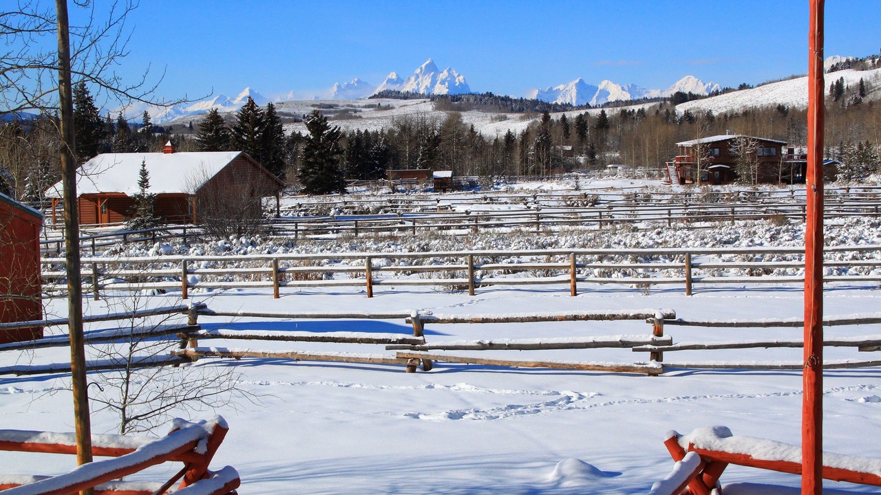 Photo of Outdoor in Moran