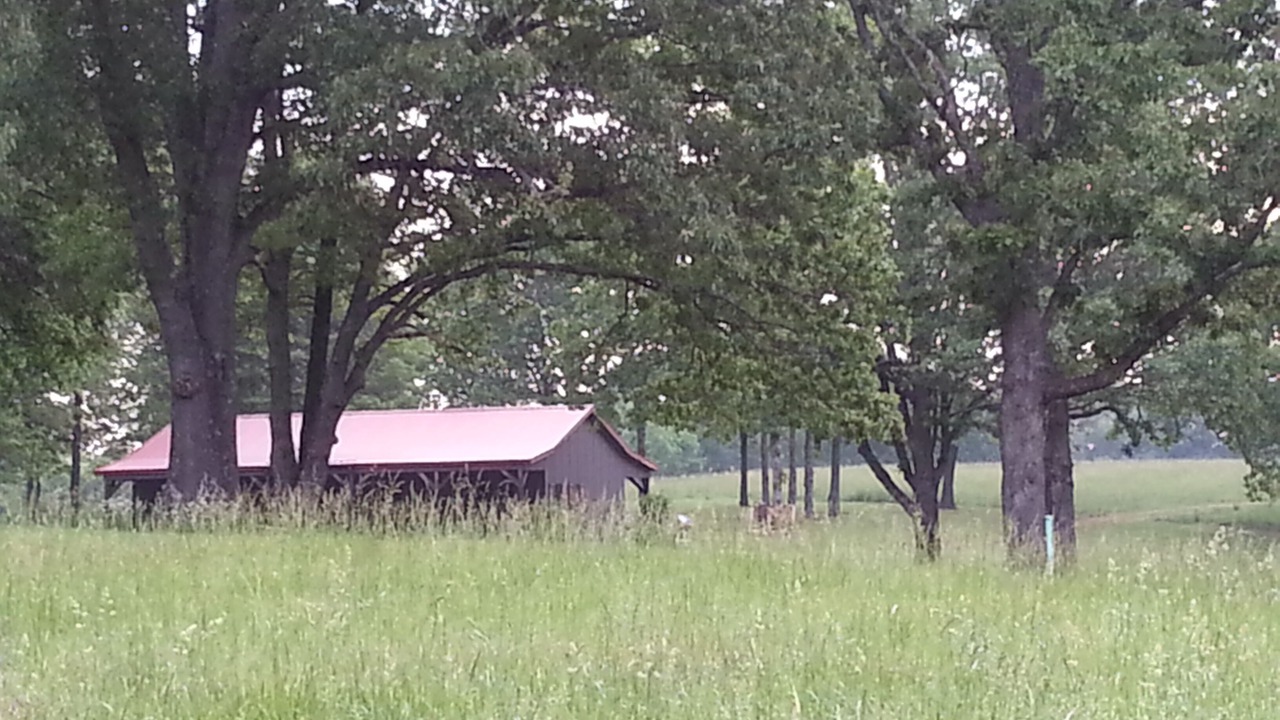 Photo of Others in Saint Joe