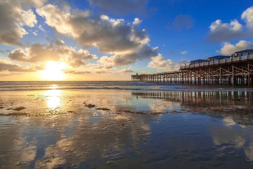 Photo of Others in Mission Beach