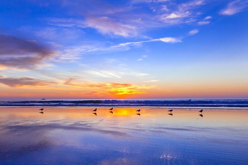 Photo of Others in Mission Beach