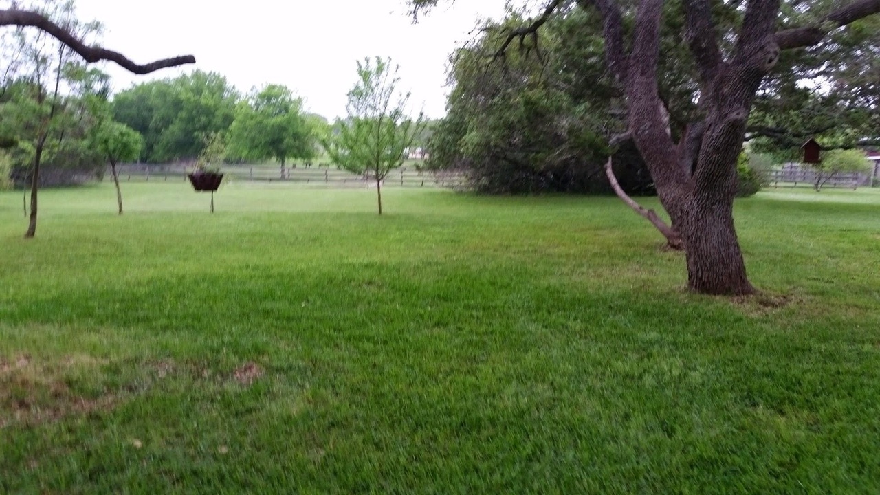 Photo of Others in Dripping Springs