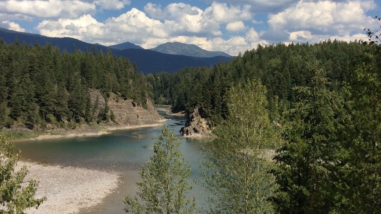 Photo of Others in Columbia Falls