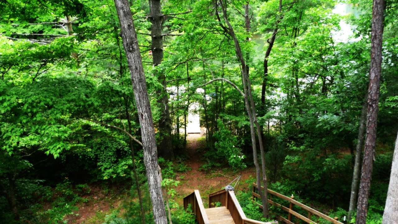 Photo of Outdoor in Unaka