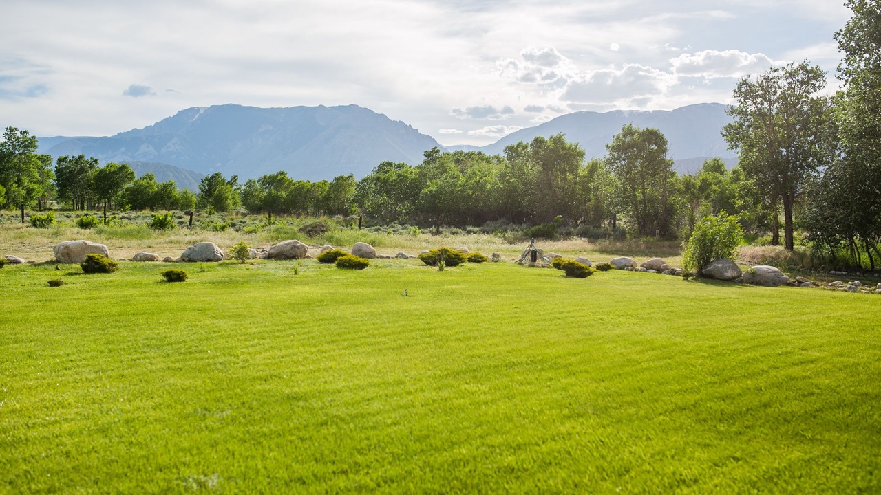Photo of Outdoor in Clark