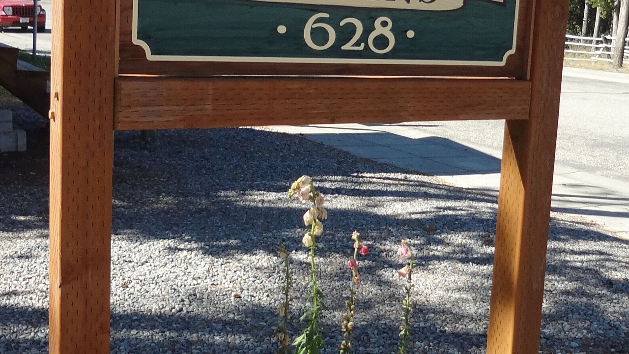 Photo of Others in West Yellowstone
