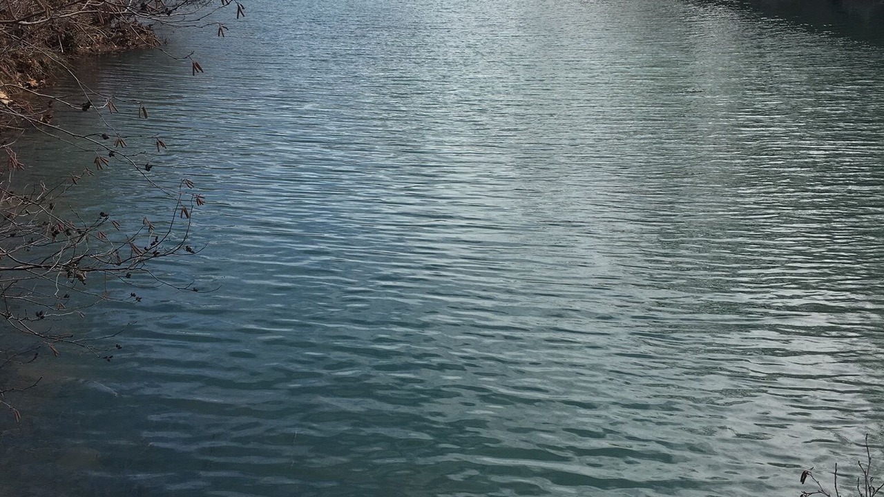 Photo of Others in Smithville