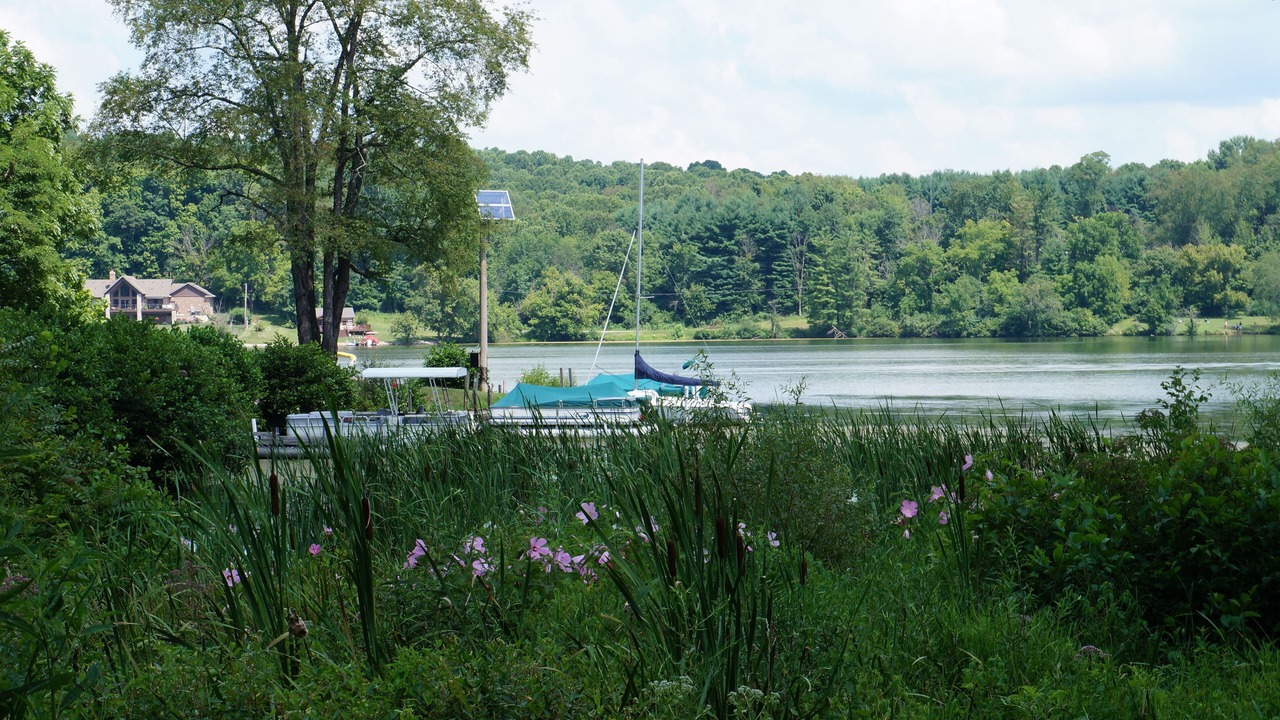 Photo of Outdoor in Logan