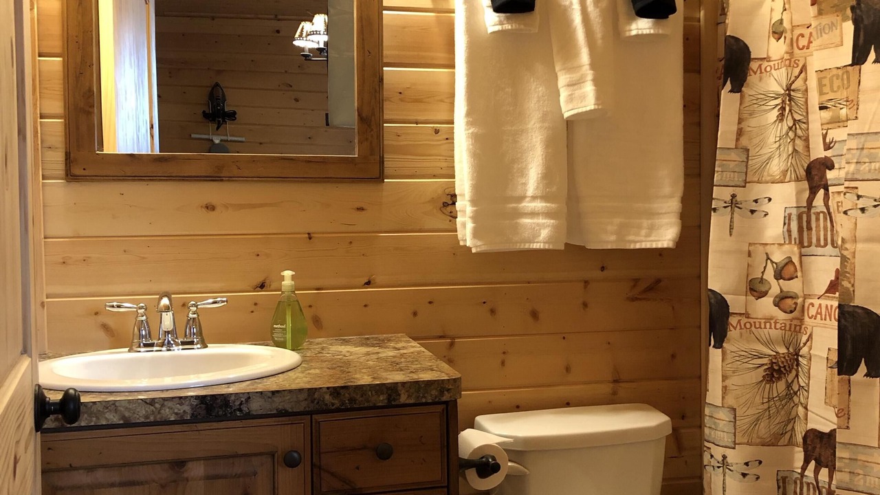 Photo of Bathroom in Island Park