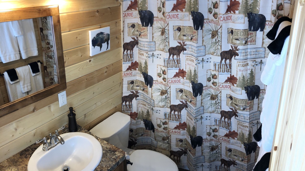 Photo of Bathroom in Island Park