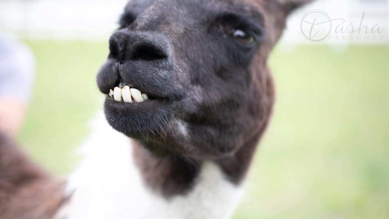 Photo of Others in Parkton