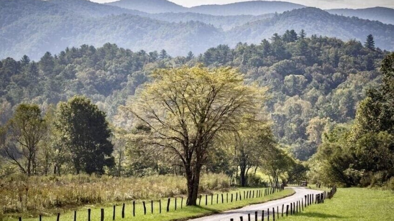 Photo of Others in Townsend