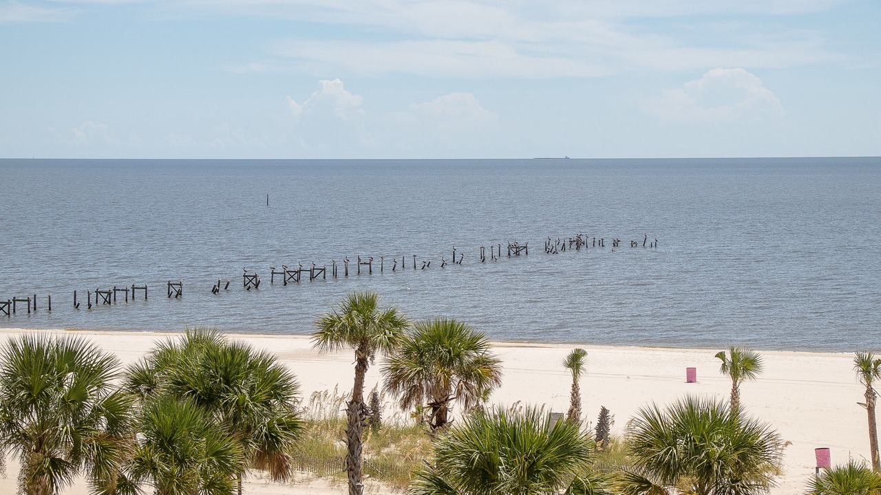 Photo of Others in Henderson Point