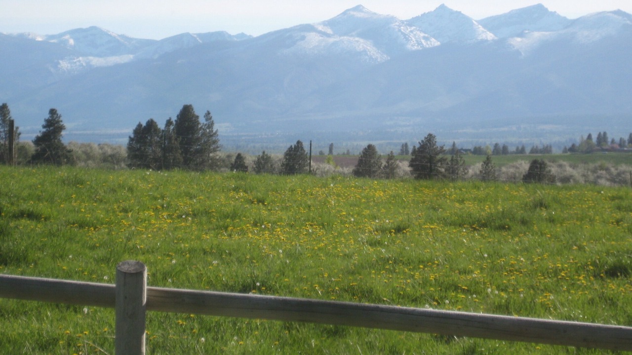 Photo of Others in Stevensville
