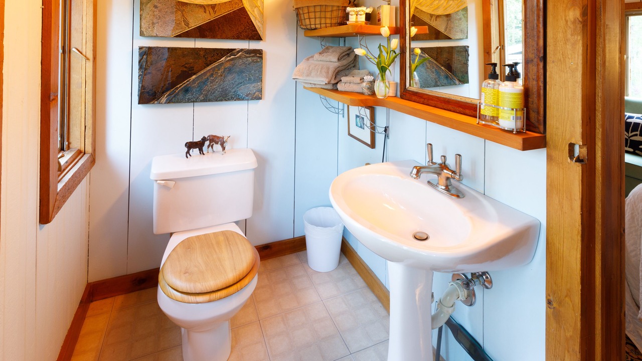 Photo of Bathroom in Wilson