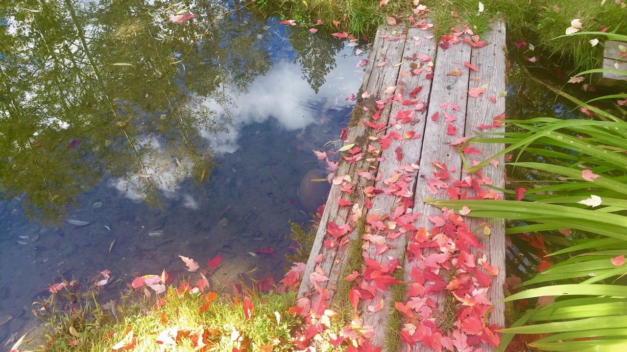 Photo of Outdoor in Wilson