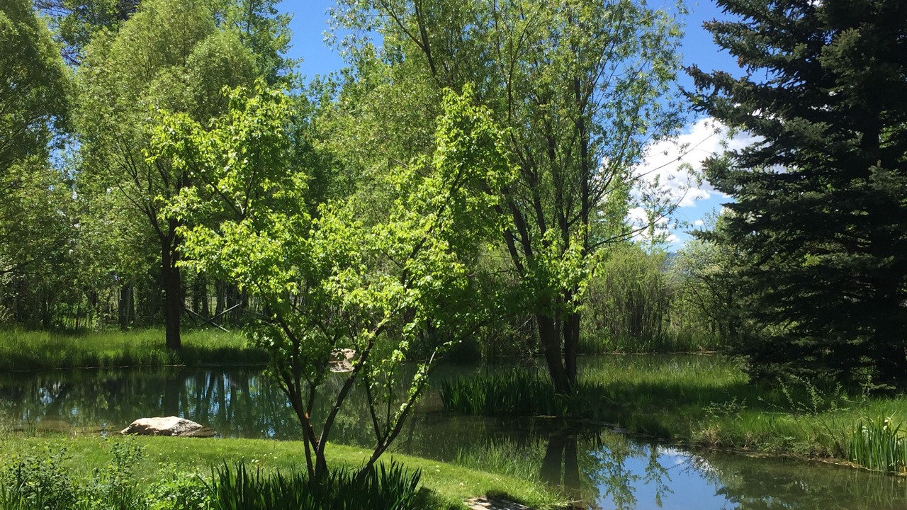 Photo of Outdoor in Wilson