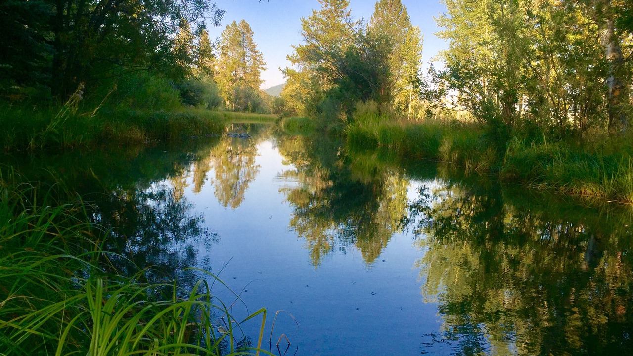 Photo of Outdoor in Wilson