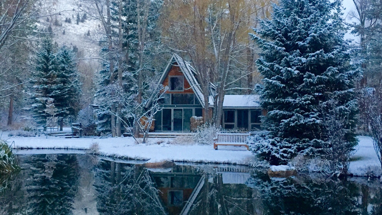 Photo of Outdoor in Wilson