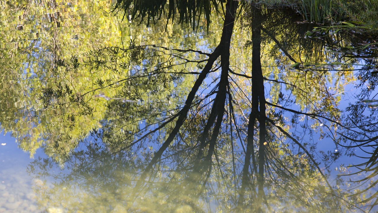 Photo of Outdoor in Wilson