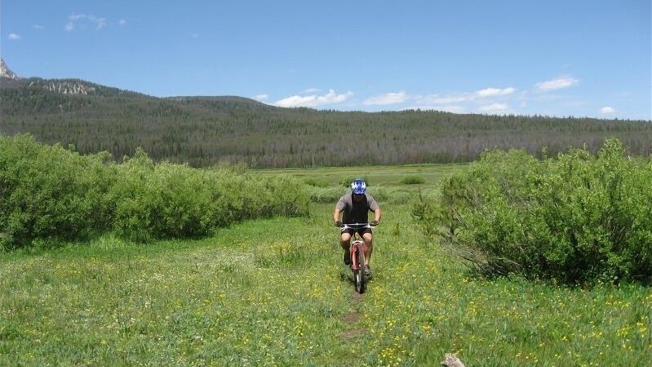 Photo of Outdoor in Stanley