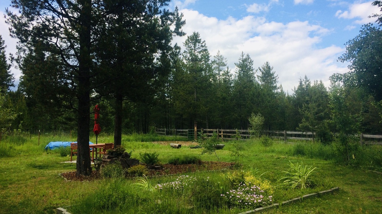 Photo of Outdoor in Coram