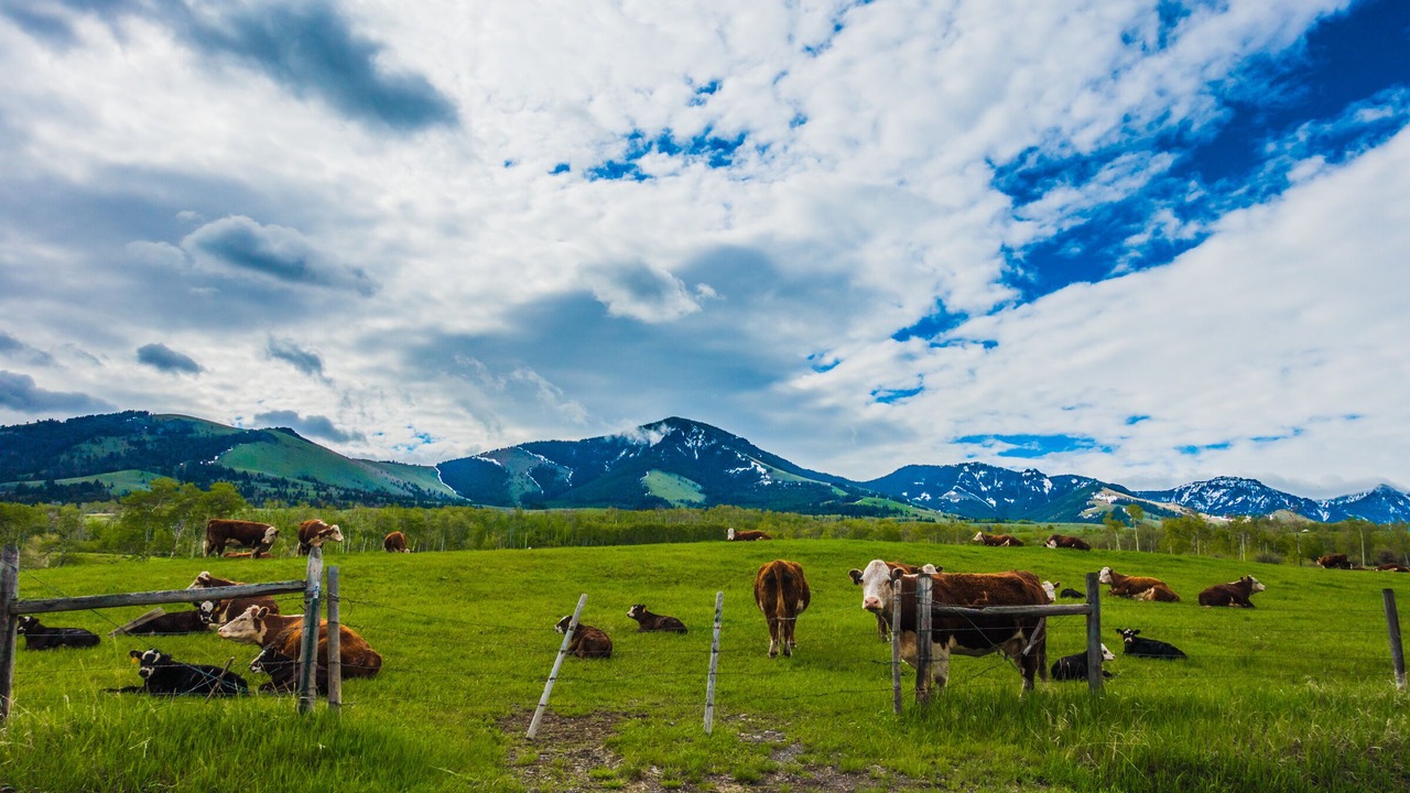 Photo of Outdoor in Emigrant