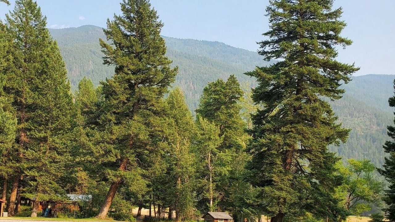 Photo of Outdoor in Columbia Falls