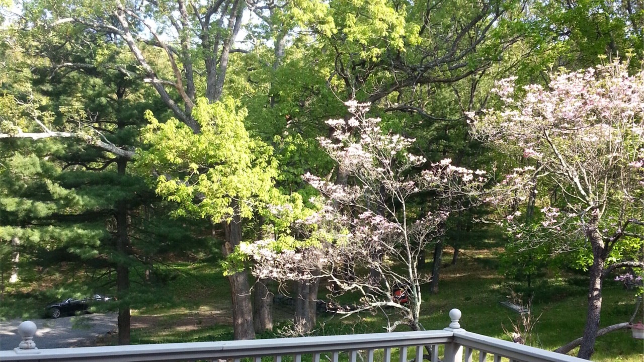 Photo of Outdoor in Piety Corner