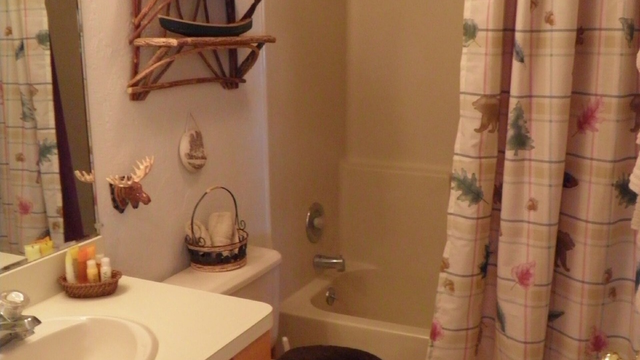 Photo of Bathroom in Victor