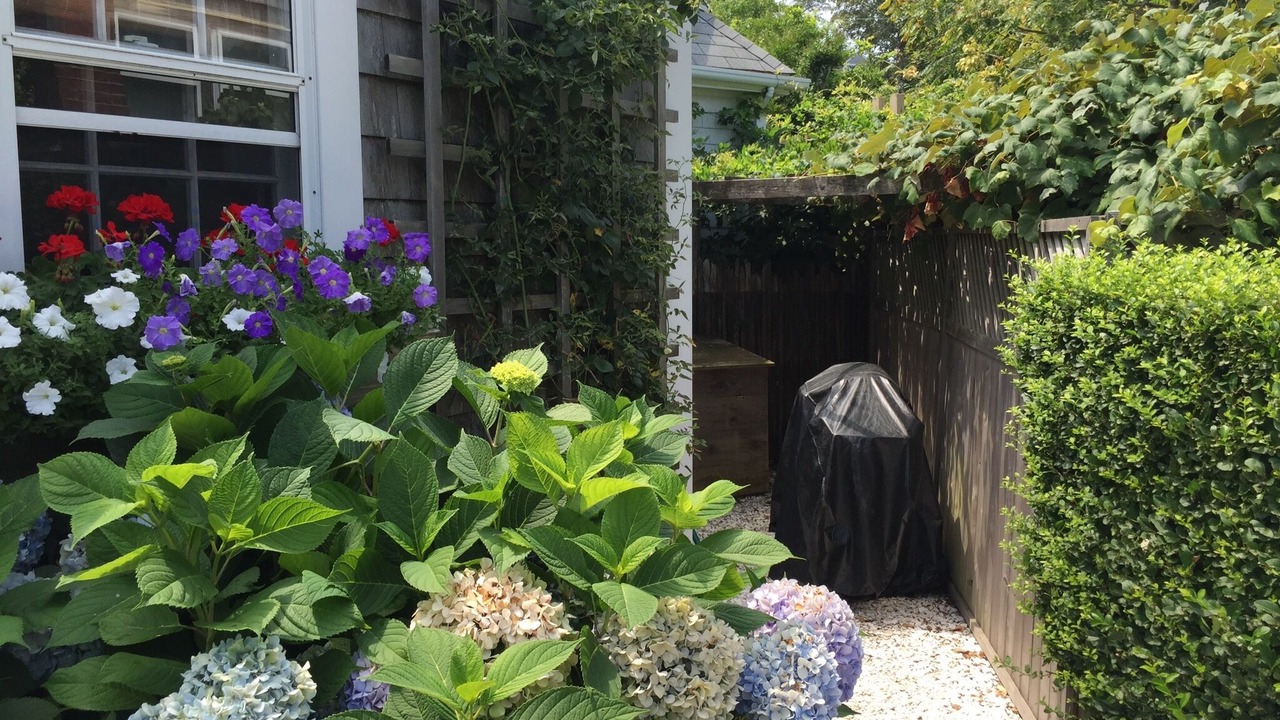 Photo of Outdoor in Nantucket Town