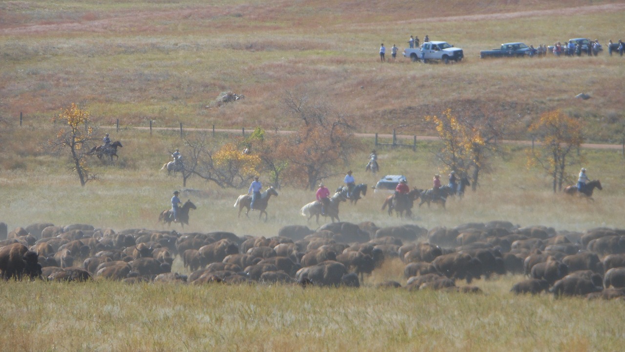 Photo of Others in Custer