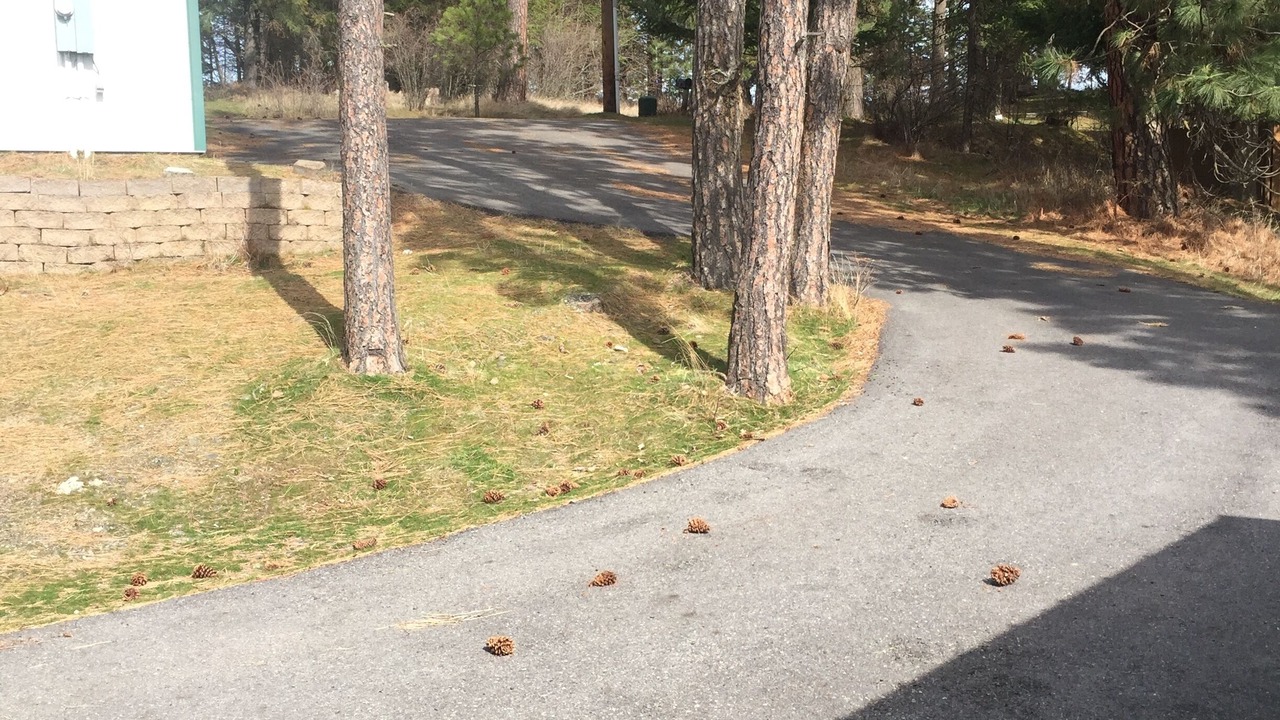 Photo of Outdoor in Worley