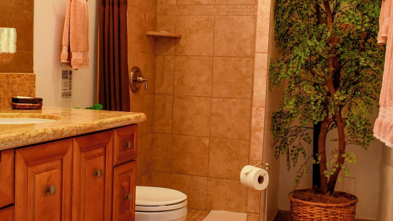 Photo of Bathroom in North Pacific Beach