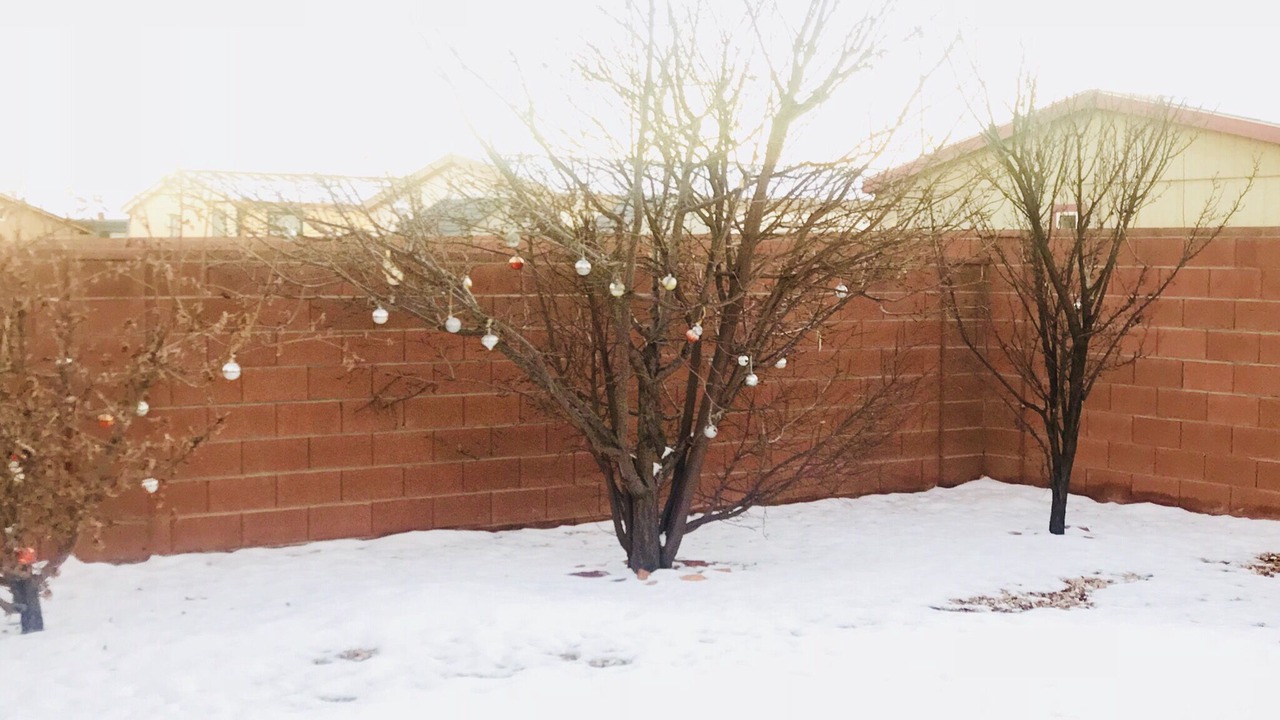 Photo of Outdoor in Page
