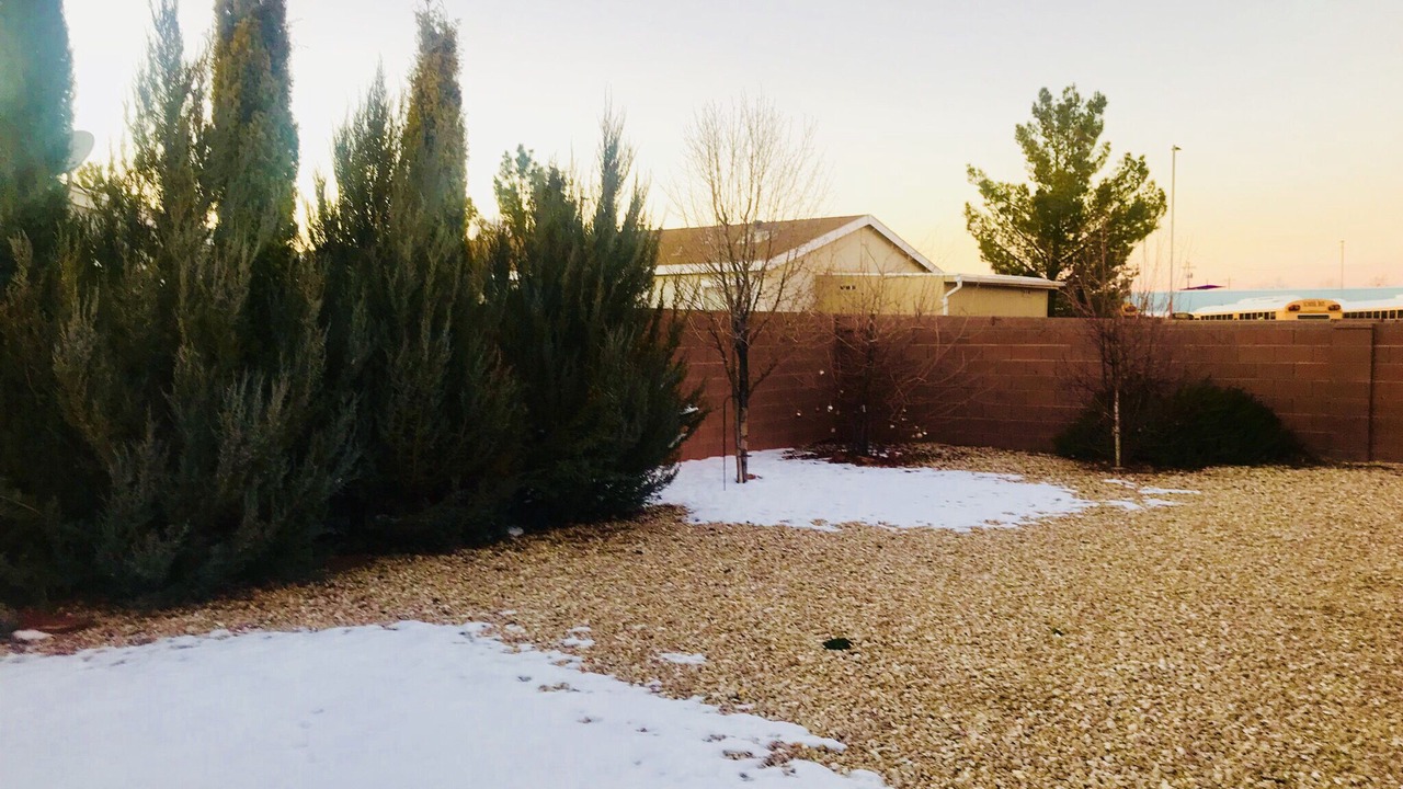 Photo of Outdoor in Page
