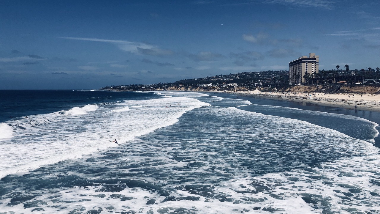 Photo of Others in Mission Beach
