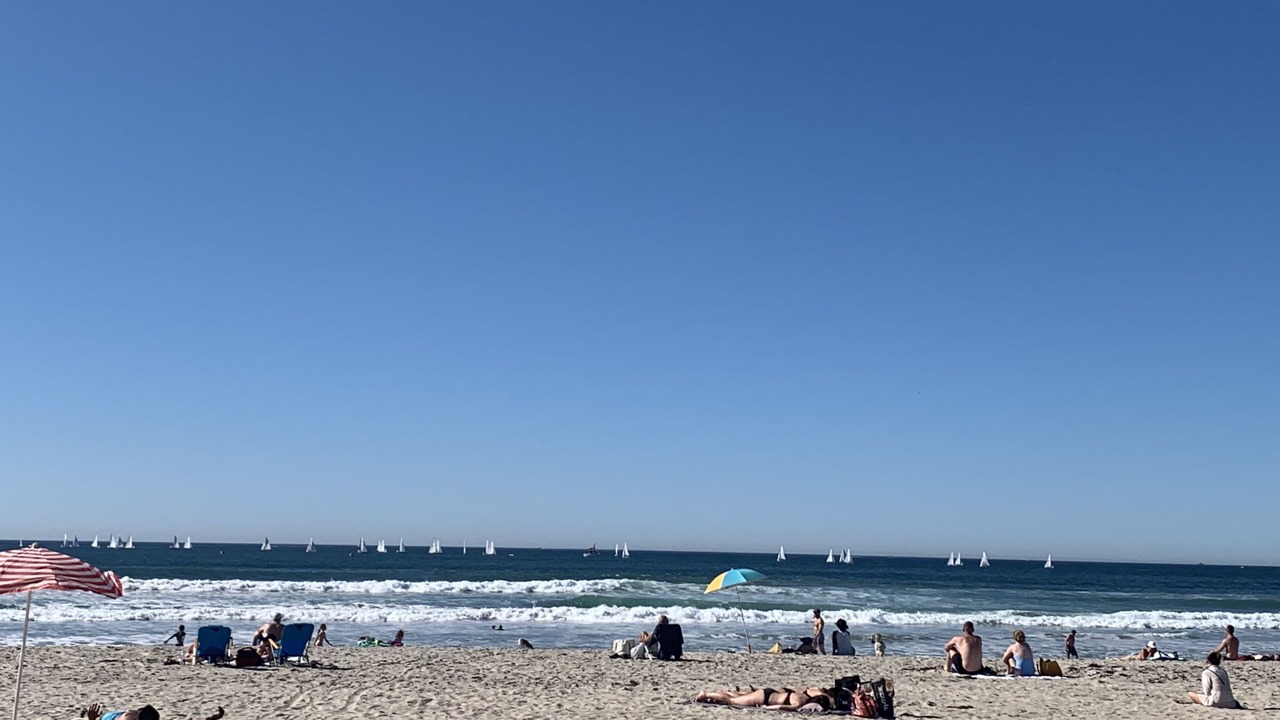 Photo of Others in Mission Beach