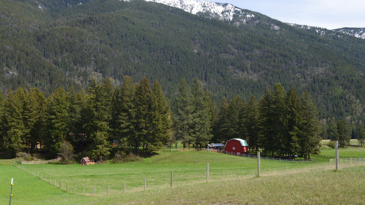 Photo of Others in Columbia Falls
