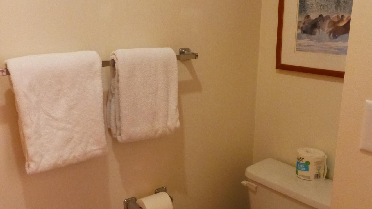 Photo of Bathroom in Moose Wilson Road