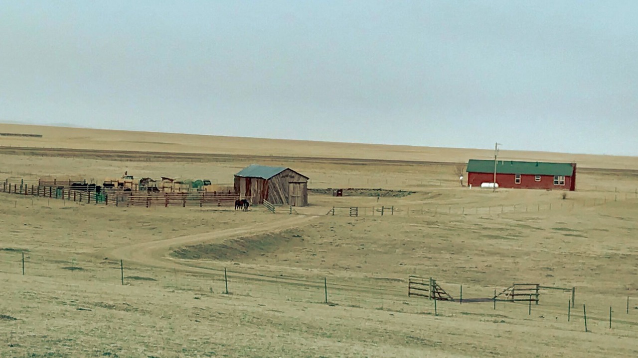 Photo of Others in Laramie