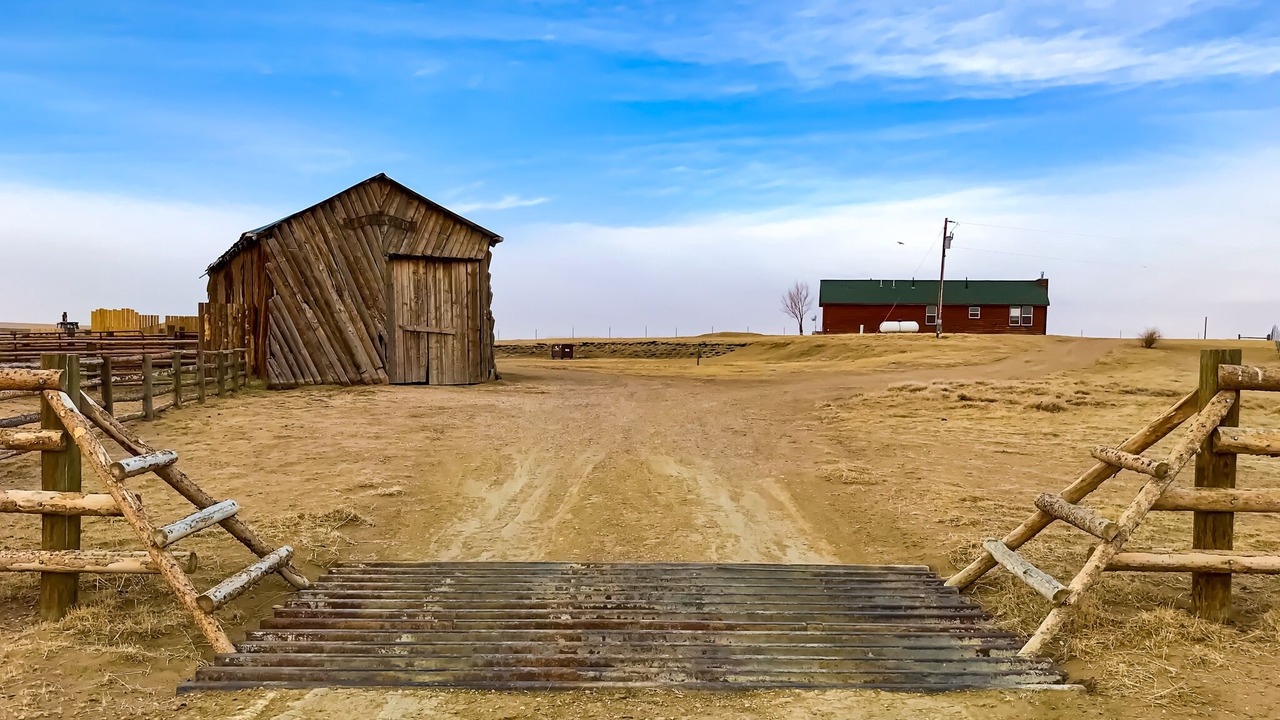 Photo of Others in Laramie