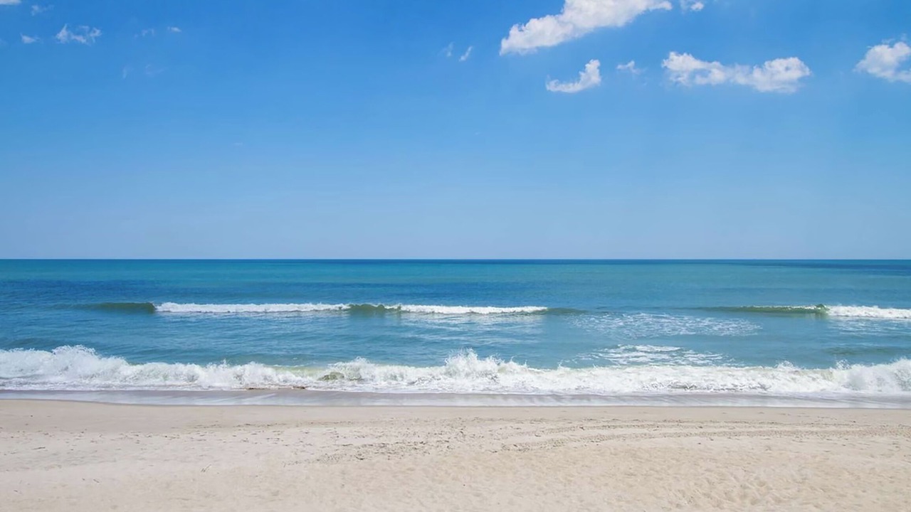 Photo of Others in North Carolina Coast