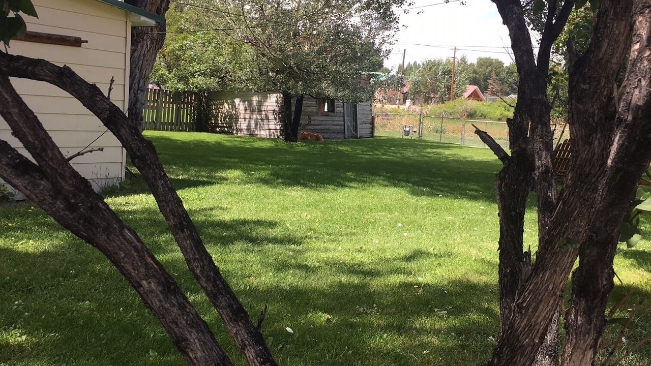 Photo of Outdoor in Saratoga