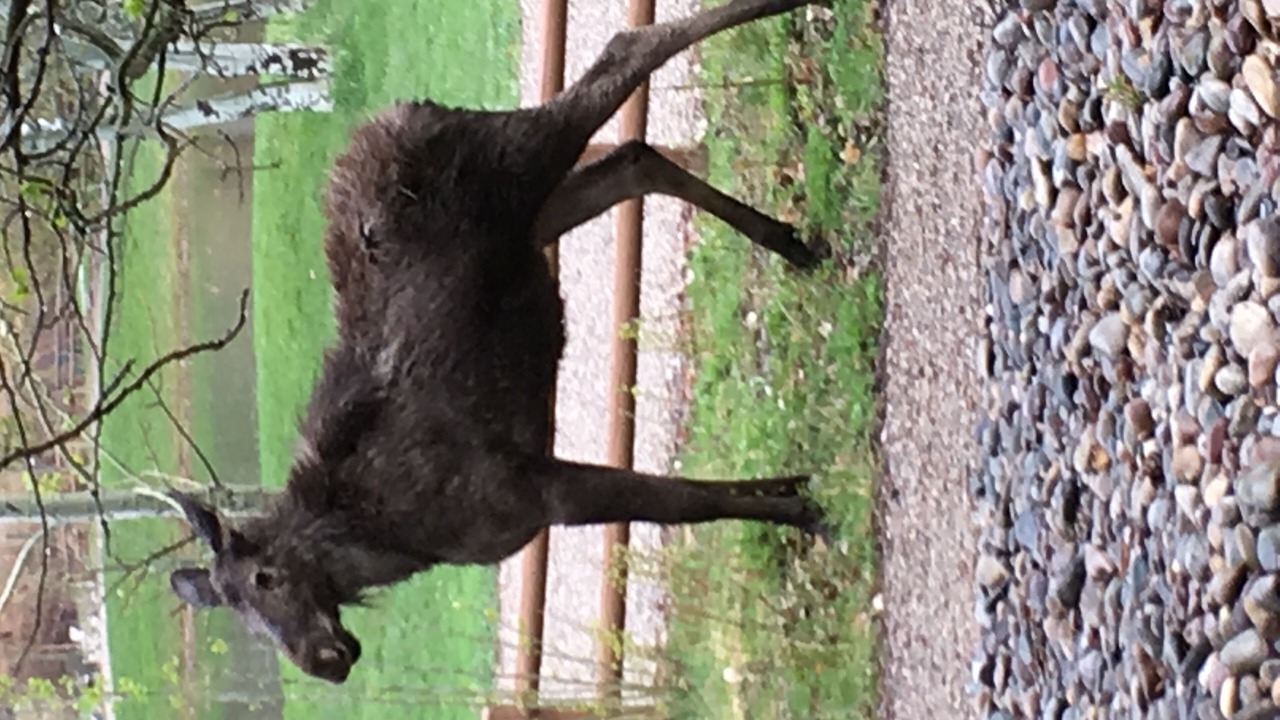 Photo of Outdoor in Rigby